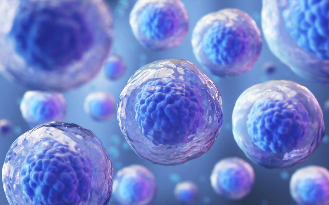 Células madre: Primeros pasos para un tratamiento contra el Parkinson